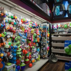 Global Pet Foods
