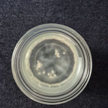 Big Save Market - Kapaa - Partly dissolved pills - Grocery Near Me - Kapaa, Hawaii