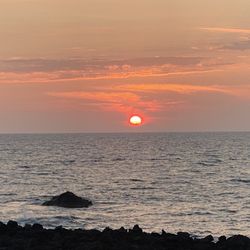 Kohala Divers