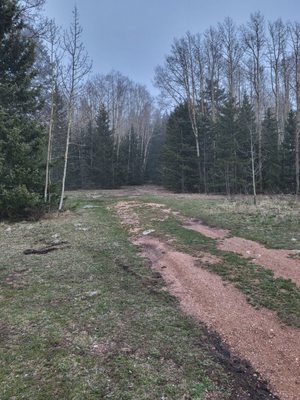 Cripple Creek KOA Holiday by null