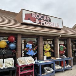 Dixie Rocks and Fossils
