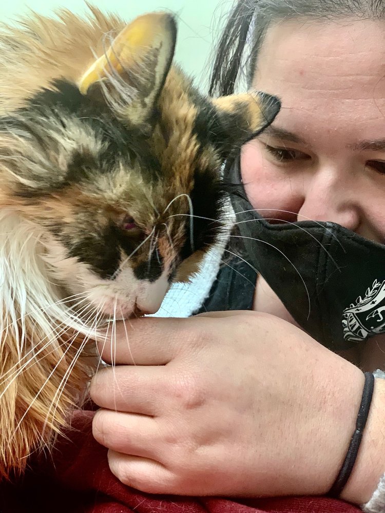 ANIMAL HOUSE VETERINARY HOSPITAL Updated October 2024 36 Photos