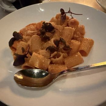 Vinny - Spicy Vodka Rigatoni - Bars Near Me - Toronto, Ontario