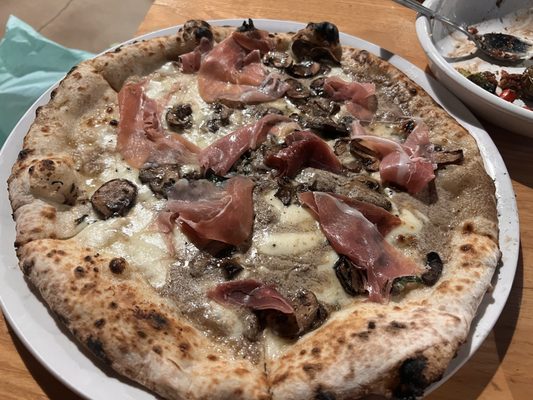 Cane Rosso by null