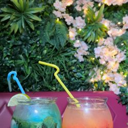 CasaNYC - Fishbowl drinks