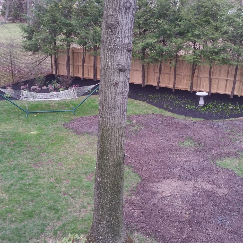 Miz's Landscaping - Landscaping Near Me Miz's Landscaping - Landscaping Near Me