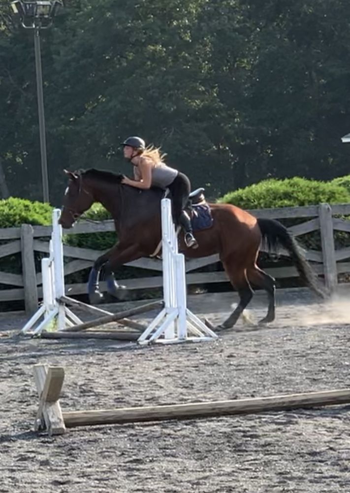 Forest Edge Farm - equestrian in Little Egg Harbor Twp, NJ