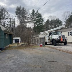 JRL Tree Services Construction