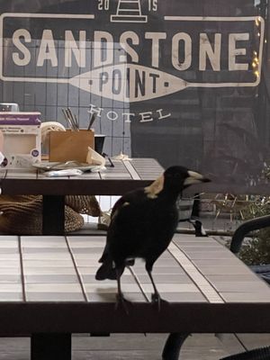 Sandstone Point Hotel by null
