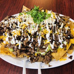 Carne Asada Chips