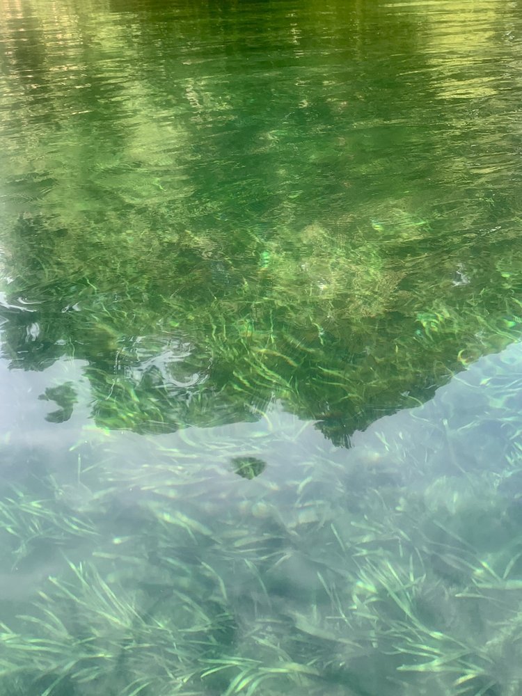 RAINBOW SPRINGS STATE PARK TUBE RENTALS Updated June 2024 10830 SW