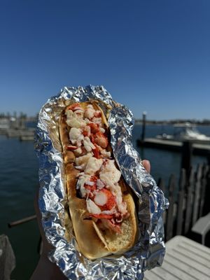 Lobster Landing by null