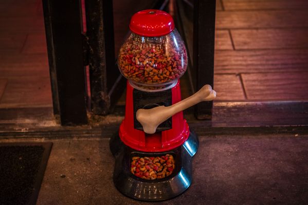 Rebel & Rose Neighborhood Bar by null