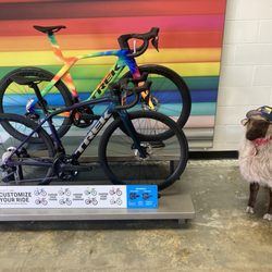 Trek Bicycle Orlando College Park