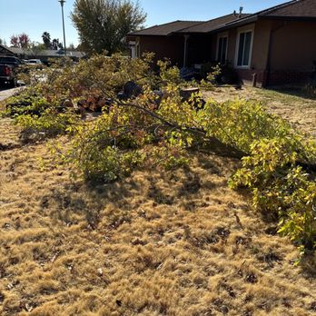 Valley Pro Tree Service - After - Tree Services Near Me Valley Pro Tree Service - After - Tree Services Near Me