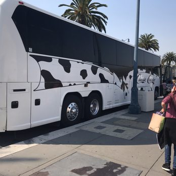 Classic Charter - Buses Near Me - Visalia, California Classic Charter - Buses Near Me - Visalia, California
