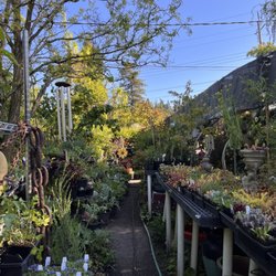 Fox Hollow Creek Nursery - Plants