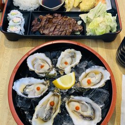 Fresh oysters and bento box for lunch. Fresh oysters and bento box for lunch.