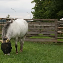 Münchner Kinder- und Jugendfarm