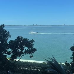 Livia C. Gadea, MD - The views
