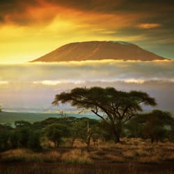 Miyar Adventures - Mt Kilimanjaro, Tanzania