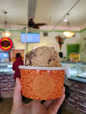 Lappert's Ice Cream by null