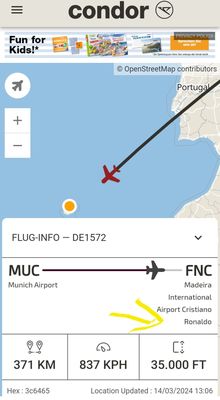 Madeira Airport by null