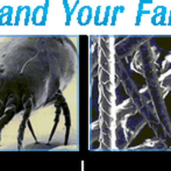 Premium Air Solutions - "Protect You and Your Family's Health" - Heating & Air Conditioning/HVAC Near Me Premium Air Solutions - "Protect You and Your Family's Health" - Heating & Air Conditioning/HVAC Near Me