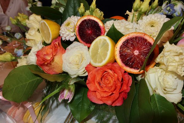 Bee & Pollen by null