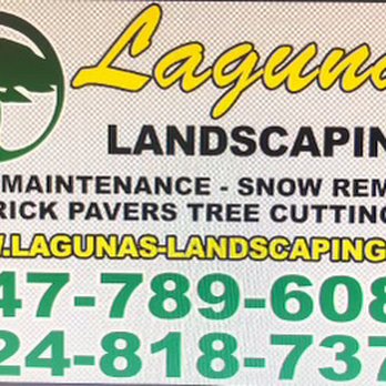 Lagunas Landscaping - Landscaping Near Me - Hanover Park, Illinois Lagunas Landscaping - Landscaping Near Me - Hanover Park, Illinois