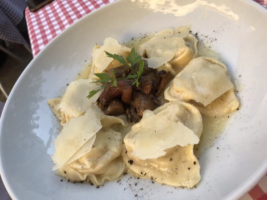 Terra di Vino by null