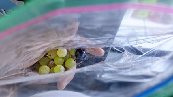 Trader Joe's by null