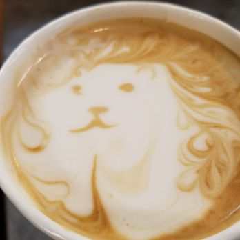 Timgad Cafe - Lion in a coconut latte! - Coffee & Tea Near Me - Washington, DC, District of Columbia Timgad Cafe - Lion in a coconut latte! - Coffee & Tea Near Me - Washington, DC, District of Columbia