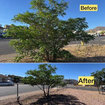 Garden Services JB - Tree trimming - Landscaping Near Me Garden Services JB - Tree trimming - Landscaping Near Me