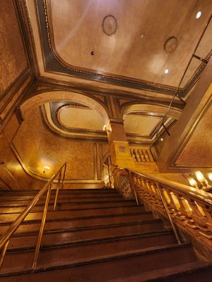 Elgin & Winter Garden Theatres by null