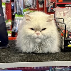 Go ahead, make my day!
