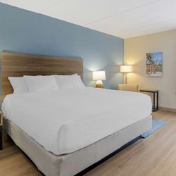 King Guest Room