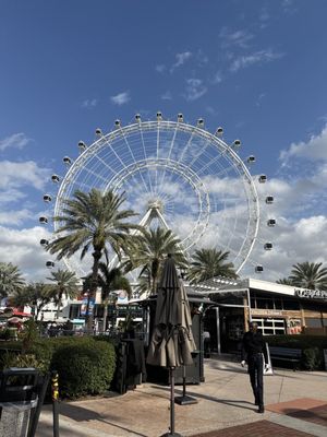 ICON Park by null