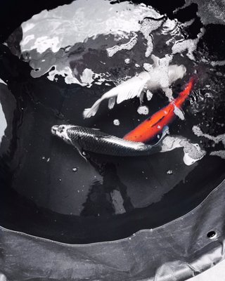 The Basque Center by null