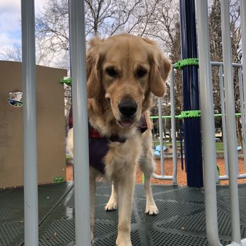 Orloff Park - Happy Valentine's Day Yelp friends! - Playgrounds Near Me - Pleasanton, California Orloff Park - Happy Valentine's Day Yelp friends! - Playgrounds Near Me - Pleasanton, California