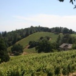 Cheers 2 Wine - Learn about the best wineries to visit throughout California.