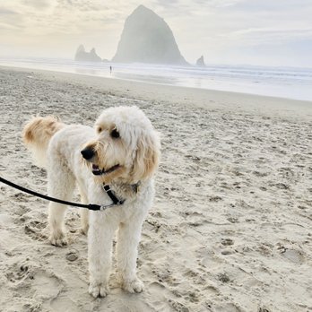 Cannon Beach - Baci x canon beach! - Beaches Near Me Cannon Beach - Baci x canon beach! - Beaches Near Me