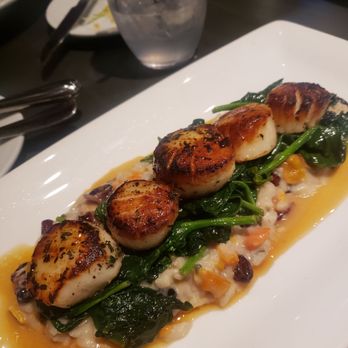 Tempo - Bars Near Me - Waltham, Massachusetts