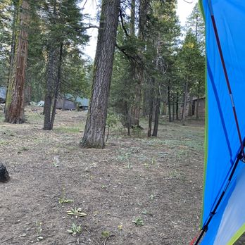 Pinecrest Campground - View from the tent - Parks Near Me - Pinecrest, California