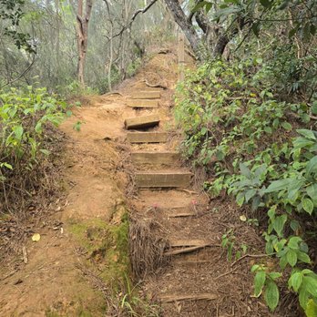 Pu'u Hapapa Trail - Hiking Near Me - Wahiawa, Hawaii Pu'u Hapapa Trail - Hiking Near Me - Wahiawa, Hawaii