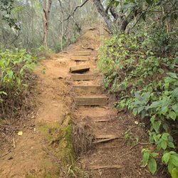 Pu'u Hapapa Trail
