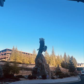 Lone Wolf Restaurant & Lounge - Picture of outside - New American Near Me - Jackson, California
