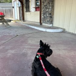 RJ's Hamburgers - Outside patio area