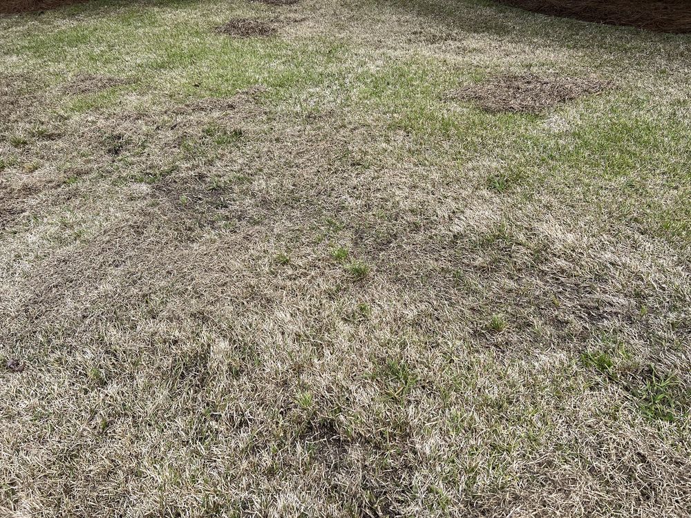 Fairway Lawns of Columbia - tree service in Columbia, SC