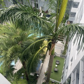 Pearl Dadeland - Pool area is always clean and has cabanas - Apartments Near Me - Miami, Florida Pearl Dadeland - Pool area is always clean and has cabanas - Apartments Near Me - Miami, Florida